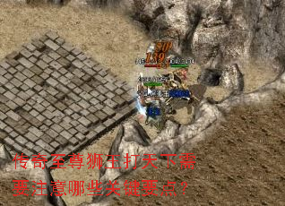 ��������ʨ����������Ҫע����Щ�ؼ�Ҫ�㣿