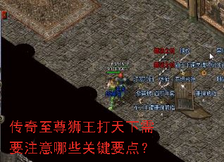 ��������ʨ����������Ҫע����Щ�ؼ�Ҫ�㣿
