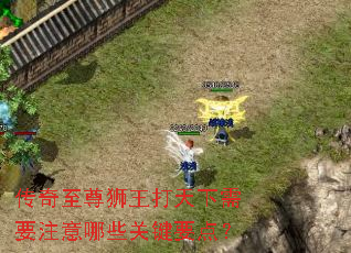 ��������ʨ����������Ҫע����Щ�ؼ�Ҫ�㣿