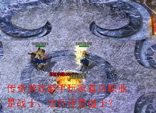 ������Ϸ���������ѡְҵ��սʿ����ʦ���ǵ�ʿ��