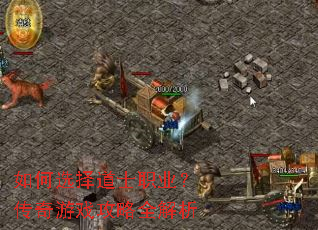 ���ѡ���ʿְҵ��������Ϸ����ȫ����