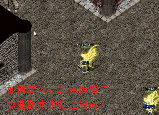 ��θ�Ч�ڱ�ѩ������ְҵ�汾�д���ש��