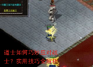 ��ʿ�������Ӧ��սʿ��ʵ�ü���ȫ����