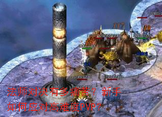 ��ʦ�Ծ��ж�ʹ�ࣿ�������Ӧ�Ը��Ѷ�PVP��