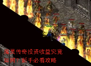 ħ�鴫��Ͷ�����澿����Σ����ֱؿ�����