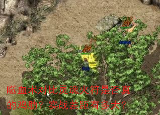 ��Ѫ���Ա�������Ƿ���ļ��ߣ�ʵս����ж��