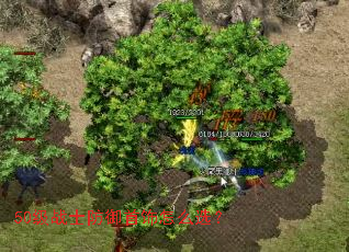 50��սʿ����������ôѡ��