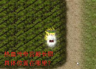 ��Ѫ���湬��Ⱦ���λ�������
