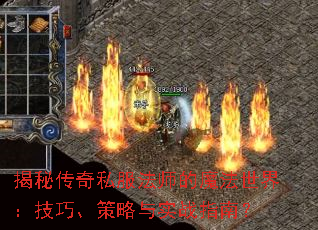 ���ش���˽����ʦ��ħ�����磺���ɡ�������ʵսָ�ϣ�