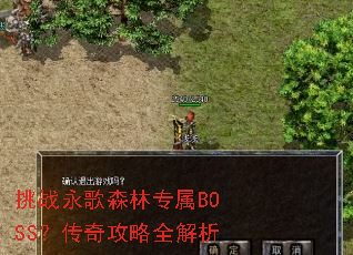 ��ս����ɭ��ר��BOSS�����湥��ȫ����