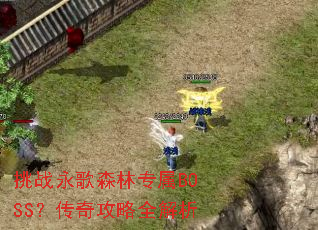 ��ս����ɭ��ר��BOSS�����湥��ȫ����