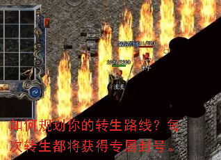 ��ι滮���ת��·�ߣ�ÿ��ת���������ר����š�