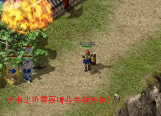 ���������Ҫ��Щ�ؼ����裿