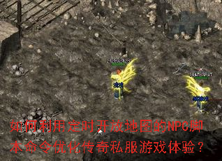 ������ö�ʱ���ŵ�ͼ��NPC�ű������Ż�����˽����Ϸ���飿