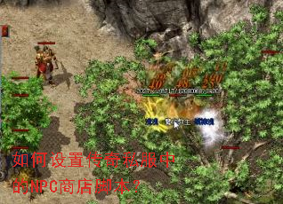 ������ô���˽���е�NPC�̵�ű���