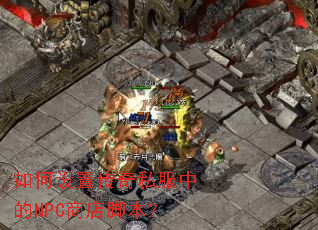 ������ô���˽���е�NPC�̵�ű���