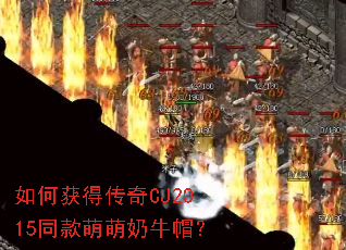 ��λ�ô���CJ2015ͬ��������ţñ��