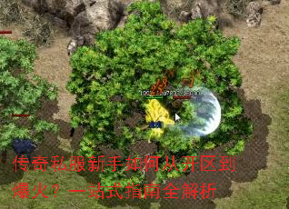 ����˽��������δӿ���������һվʽָ��ȫ����