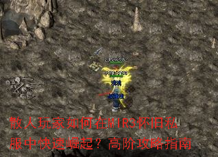 ɢ����������MIR3����˽���п������𣿸߽׹���ָ��