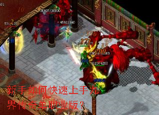 ������ο������־Ž紫�浥ְҵ�棿