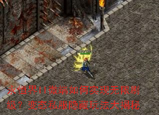 �����II΢�����ʵ������ˢ������̬˽�������淨�����