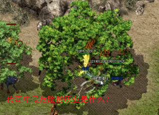 ��������Σ�յ�ְҵ��ʲô��