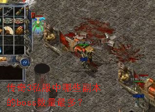 ����3˽������Щ������boss������ࣿ
