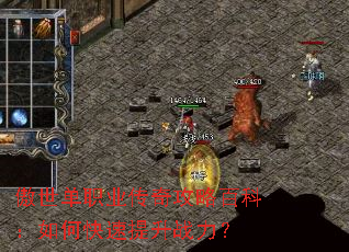 ������ְҵ���湥�԰ٿƣ���ο�������ս����