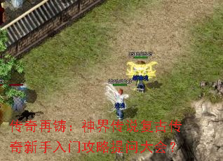 ������������紫˵���Ŵ����������Ź������ʴ�᣿