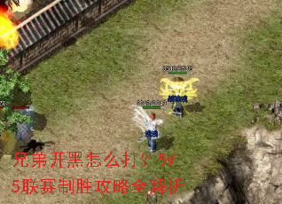 �ֵܿ�����ô��5V5������ʤ����ȫ����