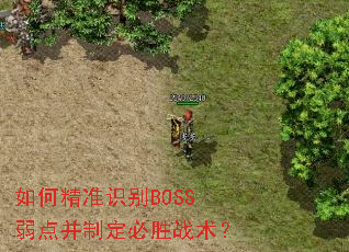 ��ξ�׼ʶ��BOSS���㲢�ƶ���ʤս����