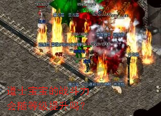 道士宝宝的战斗力会随等级提升吗? 道士宝宝的战斗力会随等级提升吗?
