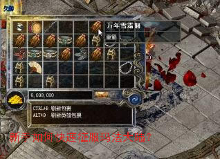 新手如何快速征服玛法大陆? 新手如何快速征服玛法大陆?