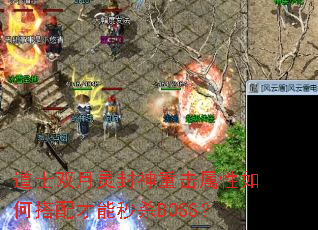 ��ʿ˫��������ػ�������δ��������ɱBOSS��