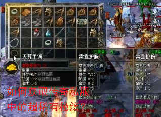 如何获取传奇私服中的超稀有秘籍? 如何获取传奇私服中的超稀有秘籍?