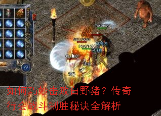 ���������ܰ�Ұ���������л�ս����ʤ�ؾ�ȫ����