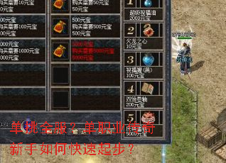 单挑全服?单职业传奇新手如何快速起步? 单挑全服?单职业传奇新手如何快速起步?