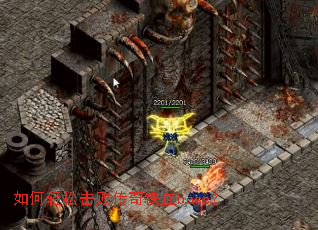 ������ɻ��ܴ�����Ѫboss��