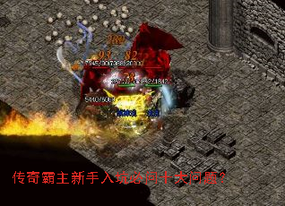 �������������ӱ���ʮ�����⣿