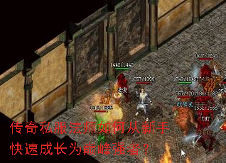 传奇私服法师如何从新手快速成长为巅峰强者? 传奇私服法师如何从新手快速成长为巅峰强者?