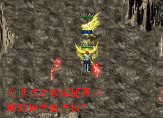 绝世武功修炼秘籍如何助你登峰造极? 绝世武功修炼秘籍如何助你登峰造极?
