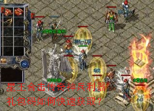 星王合击传奇神兵利器礼包码如何快速获取? 星王合击传奇神兵利器礼包码如何快速获取?