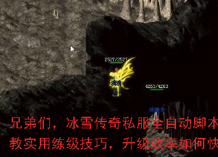 兄弟们,冰雪传奇私服全自动脚本怎么用?求教实用练级技巧,升级效率如何快速提升? 兄弟们,冰雪传奇私服全自动脚本怎么用?求教实用练级技巧,升级效率如何快速提升?