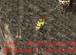兄弟们,冰雪传奇私服全自动脚本怎么用?求教实用练级技巧,升级效率如何快速提升? 兄弟们,冰雪传奇私服全自动脚本怎么用?求教实用练级技巧,升级效率如何快速提升?