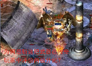 为何怒斩这把武器在传奇玩家中评价两极分化? 为何怒斩这把武器在传奇玩家中评价两极分化?