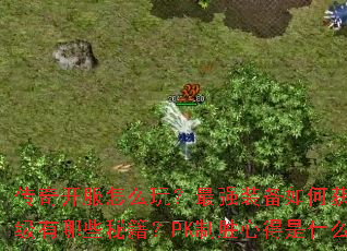 ���濪����ô�棿��ǿװ����λ�ȡ����������Щ�ؼ���PK��ʤ�ĵ���ʲô��
