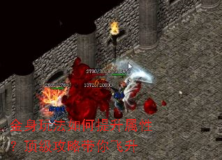 金身玩法如何提升属性?顶级攻略带你飞升 金身玩法如何提升属性?顶级攻略带你飞升
