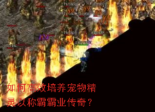 ��θ�Ч�������ﾫ���Գư԰�ҵ���棿