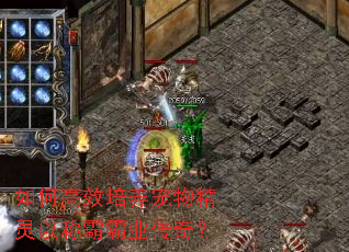 ��θ�Ч�������ﾫ���Գư԰�ҵ���棿