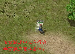 传奇游戏中成立行会需要满足哪些条件? 传奇游戏中成立行会需要满足哪些条件?